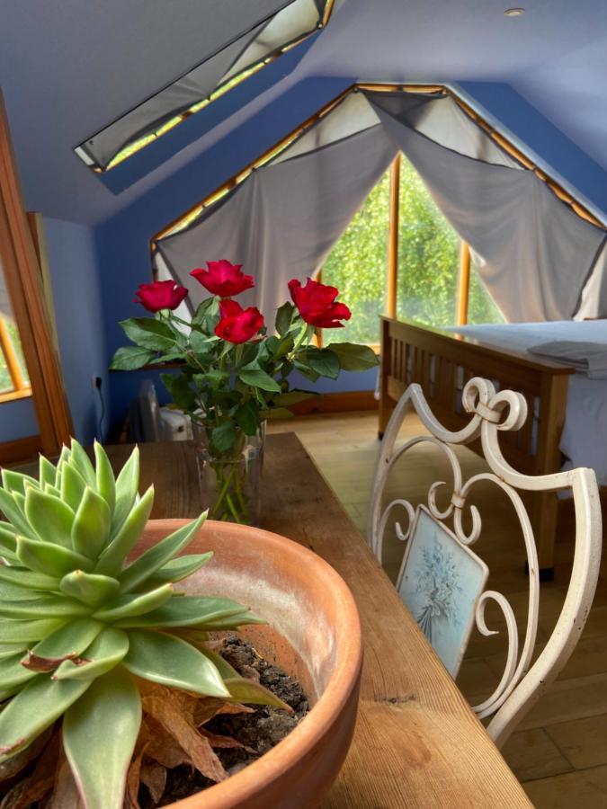 Вилла Ralph'S Barn Ньюпорт Экстерьер фото
